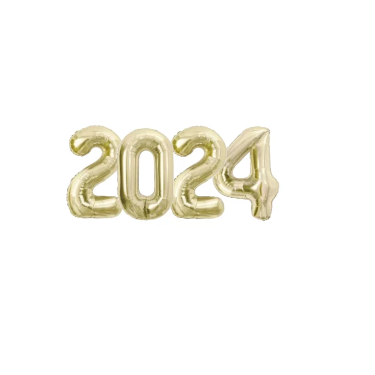 New Project 2024